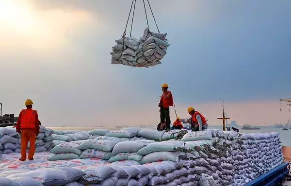 
Esta foto muestra a trabajadores trasladando sacos de alimento para animales elaborado con soja importada de Brasil, en un puerto de Nantong, provincia de Jiangsu, China. [AFP]        