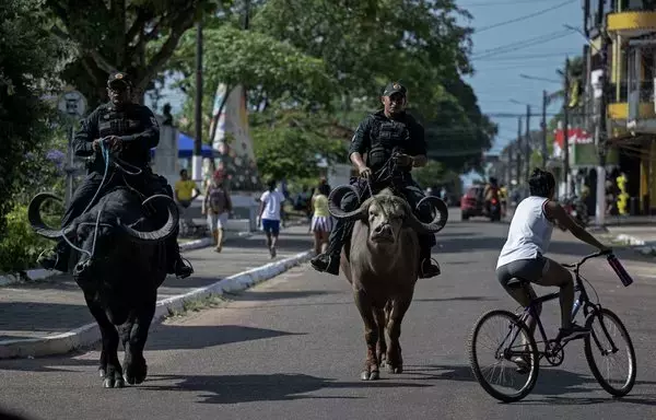 
La policía militar del 8.º batallón patrulla sobre búfalos de agua asiáticos en Soure, isla de Marajo, estado de Pará, Brasil, el 4 de septiembre. [Carl De Souza/AFP]        