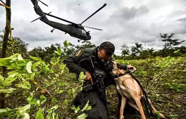 A Colombian police officer hugs a dog during an operation to eradicate illicit crops in Tumaco, Narino Department, Colombia on December 30, 2020. Coca-leaf cultivation in Colombia hit an all-time high of 204,000 hectares in 2022, up 13% from the previous year. Cocaine production also rose to 1,738 tons, the highest level since 2001. (Photo by Juan Barreto / AFP)