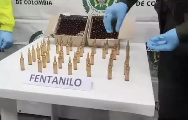 In late July, the Colombian Police discovered 280 vials of fentanyl in Medellín. The swift spread of fentanyl across Latin America has raised alarm among authorities, who are anticipating a surge in overdose-related deaths due to this highly addictive synthetic opioid. [Colombian National Police]