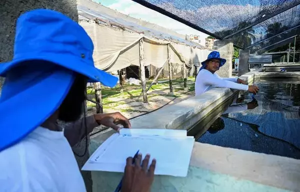 Trabajadores miden el balance de pH en un tanque de agua en el proyecto de piscicultura JoJo Acuaponics en La Habana en octubre. [Yamil Lage / AFP]