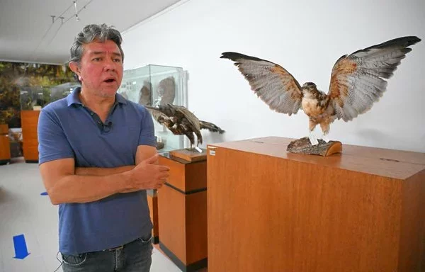 
El biólogo César Garzón habla durante una entrevista con la AFP en Quito, en el museo del Instituto Nacional de Biodiversidad. [Rodrigo Buendía/AFP]        