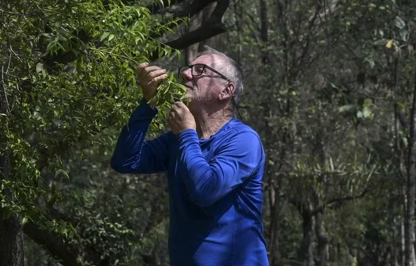 Helio da Silva, el visionario detrás del Parque Lineal Tiquatira - Ingeniero Werner Eugênio Zulauf, disfruta del oasis verde en São Paulo. En las últimas dos décadas, Da Silva ha plantado más de 40.000 árboles en el parque. [Nelson Almeida/AFP]