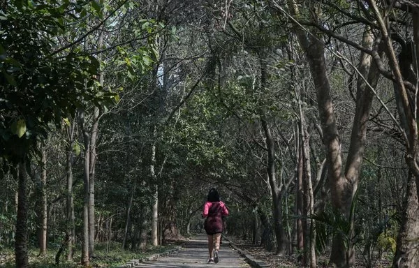 Un visitante disfruta del Parque Lineal Tiquatira en São Paulo. [Nelson Almeida/AFFP]