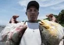 Mujeres de Costa Rica usan piel de pescado para la moda