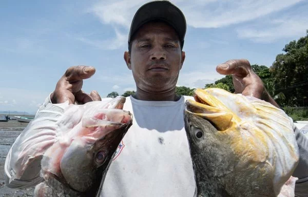 
Un pescador fotografiado mientras transporta pescado en Puntarenas, Costa Rica. Las pieles de pescado se convierten en cueros que se utilizarán para confeccionar ropa y artículos como pendientes y collares. [Ezequiel Becerra/AFP]        