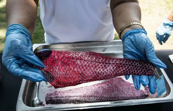 Trabajadoras de la cooperativa Piel Marina usan piel de pescado para elaborar pendientes en Puntarenas, Costa Rica. [Ezequiel Becerra/AFP]