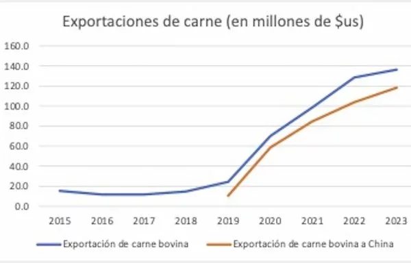 Las exportaciones de carne vacuna experimentaron un aumento significativo en 2019, impulsadas principalmente por el aumento de las ventas a China. (Instituto Nacional de Estadística [INE]).