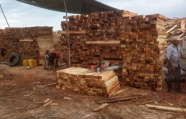 Los madereros hacen una pausa para descansar durante un arduo día de trabajo en la selva amazónica de Ecuador. [Compra de Balsa]