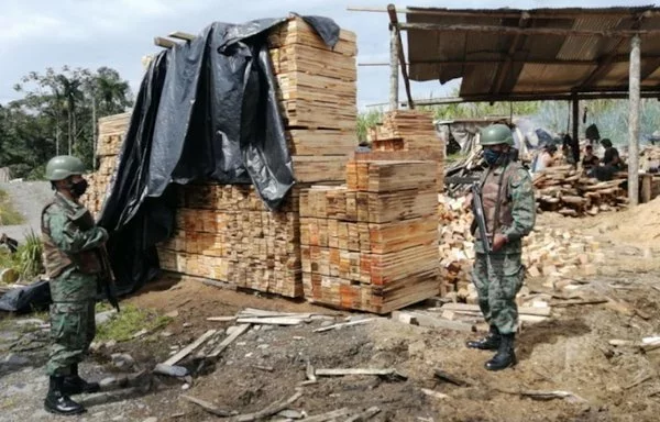 Tropas ecuatorianas confiscan madera procesada ilegalmente en dos aserraderos clandestinos de la provincia de Pastaza, Ecuador, en junio de 2020. [Fuerzas Armadas Ecuatorianas/X]