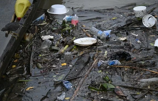 
Un pájaro se posa en un trozo de madera cerca de la basura que flota en el río Atrato, en el municipio de Quibdó, departamento de Chocó, Colombia. [Raúl Arboleda/AFP]        