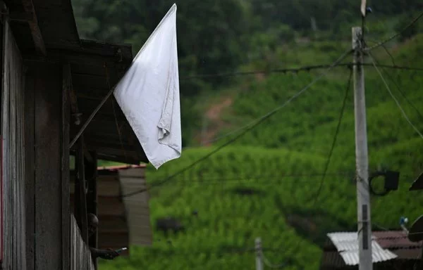 Una bandera blanca cerca de los cultivos de coca en el Cañón de Micay, una zona montañosa y bastión de los desertores de las antiguas FARC en el departamento del Cauca, en marzo. [Raúl Arboleda/AFP]