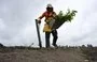 
Un trabajador de Mombak planta árboles en un antiguo rancho ganadero en la región amazónica cerca de Mãe do Rio, Brasil. [Pablo Porciuncula/AFP]        