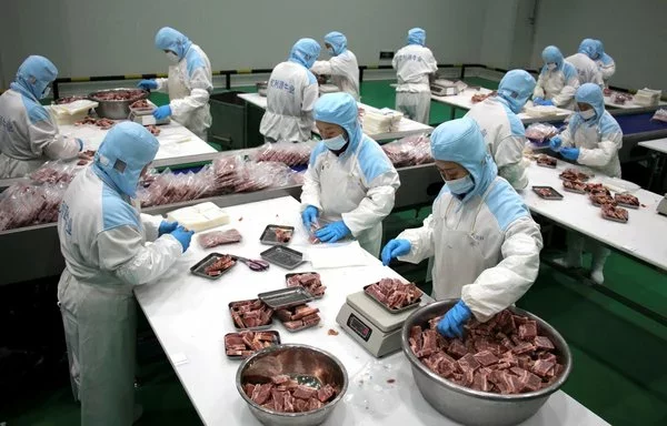 Trabajadores empaquetan carne congelada para exportación en una planta de procesamiento de carne de res en Binzhou, provincia de Shandong, China. [AFP]