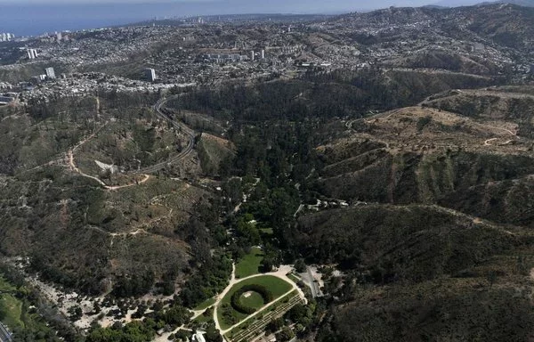 Una vista aérea capta los esfuerzos de reforestación en marcha en una zona dañada por el incendio forestal del pasado febrero en el Jardín Nacional Botánico de Chile en Viña del Mar. [Javier Torres/AFP]