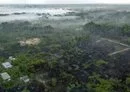 Los habitantes de la Amazonia brasileña, hastiados, exigen el fin de los incendios