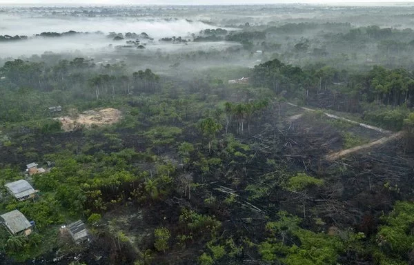 
Vista aérea de un terreno en venta tras ser afectado por incendios forestales en la zona privilegiada de Breves, en la región amazónica del archipiélago de Marajo, Brasil. [Pablo Porciúncula/AFP]        