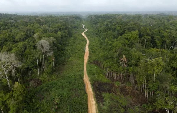 Vista aérea de un terreno en venta afectado por incendios forestales en la zona privilegiada de Breves, en la región amazónica del archipiélago de Marajo, Brasil. [Pablo Porciúncula/AFP]