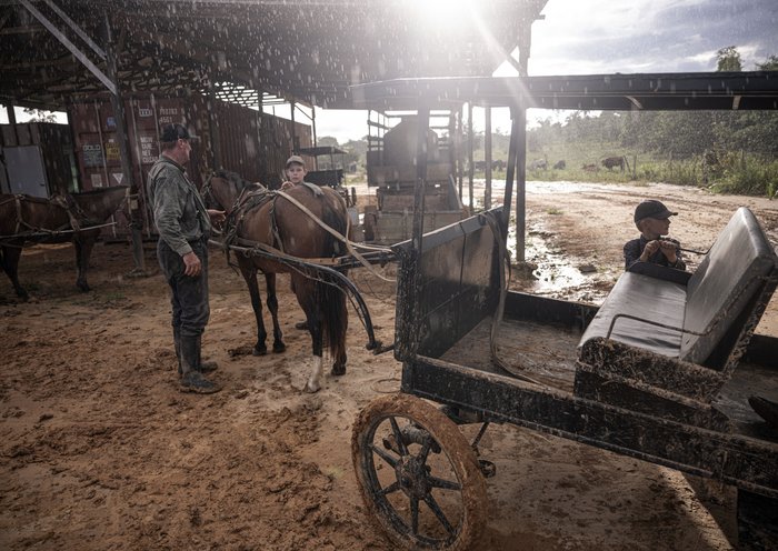 Mennonites prepare a horse-drawn cart in the community of Masisea, Ucayali department, Peru. [Ernesto Benavides/AFP]